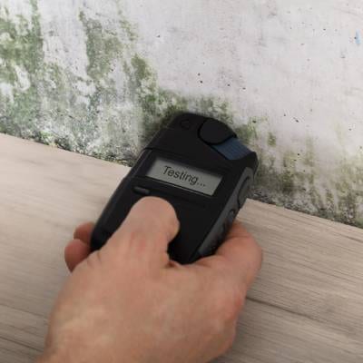 MOLD INSPECTION